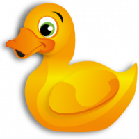 GUST_Swim-School-Duck